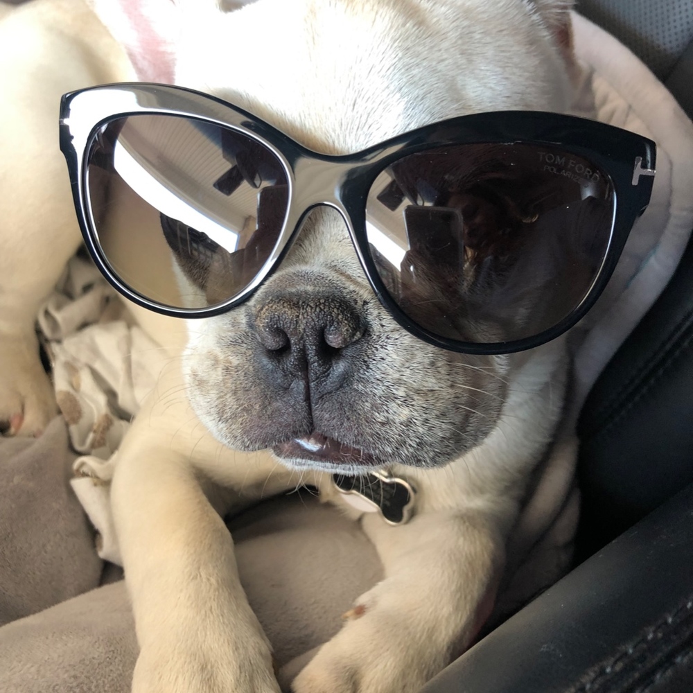 Meet your Posher, Kyrsten